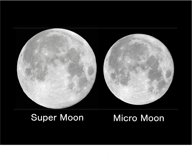 SHIBUYA SUPER MOON RISE 都心の月の出観賞